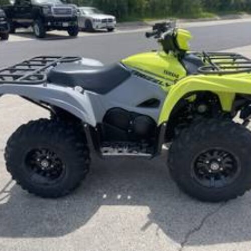 2022 Yamaha Grizzly EPS