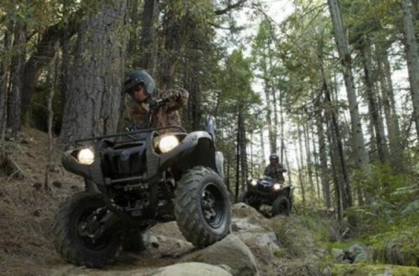 2009 Yamaha Grizzly 550 - Image 3