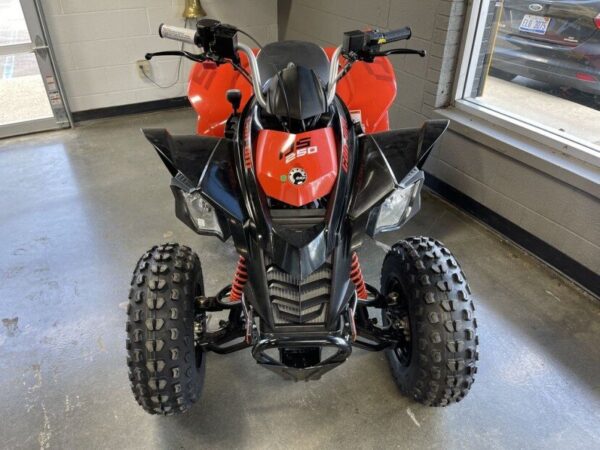 2022 Can-Am DS 250 - Image 3