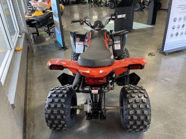 2022 Can-Am DS 250 - Image 8