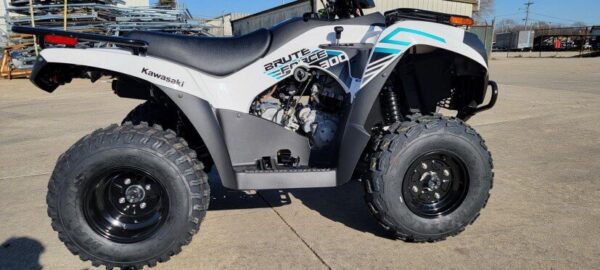 New 2022 Kawasaki Brute Force 300 - Image 15
