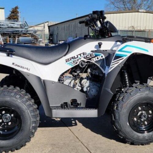 New 2022 Kawasaki Brute Force 300