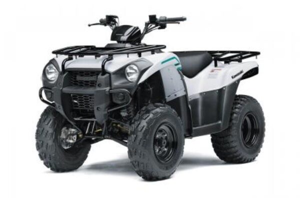 New 2022 Kawasaki Brute Force 300 - Image 4