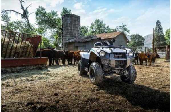New 2022 Kawasaki Brute Force 300 - Image 7