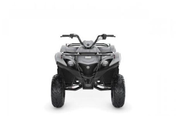 New 2022 Yamaha Grizzly 90 - Image 13