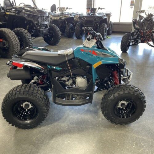 New 2023 Can-Am Renegade 110