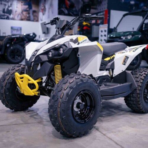 New 2024 Can-Am Renegade 70