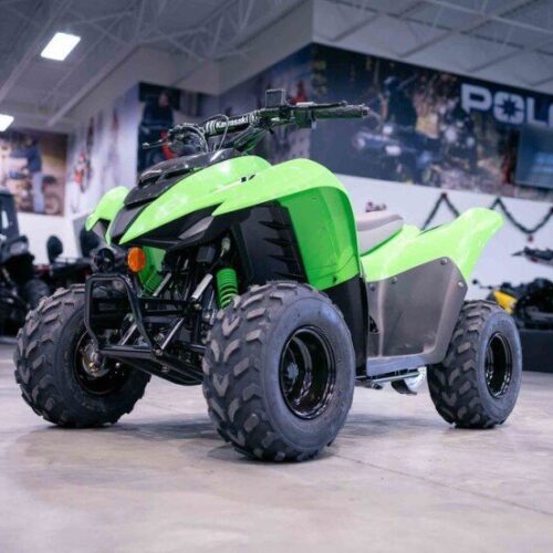 New 2024 Kawasaki KFX50