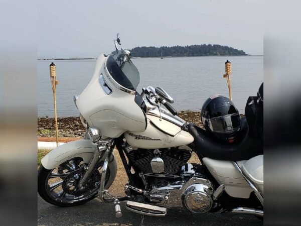 2015 Harley-Davidson Street Glide - Image 23