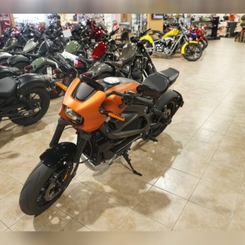 2020 HARLEY-DAVIDSON LIVEWIRE ELW