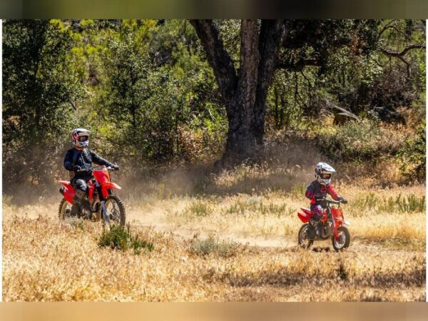 2023 Honda Dual Sport Motorcycle CRF50F For Sale - Image 16