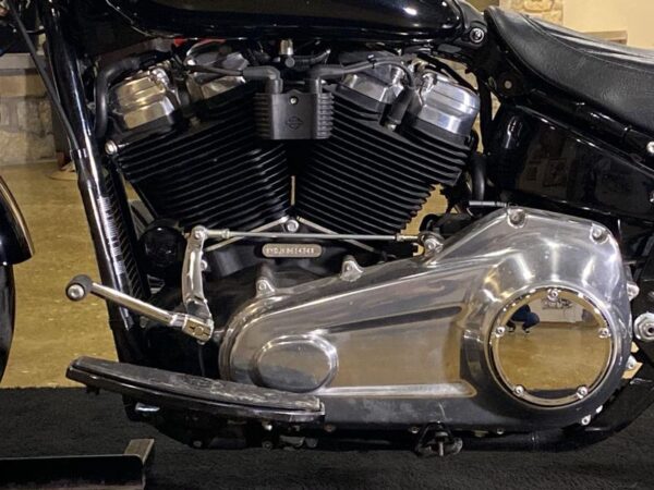 2019 Harley-Davidson® FLSL - Softail® Softail Slim® - Image 5