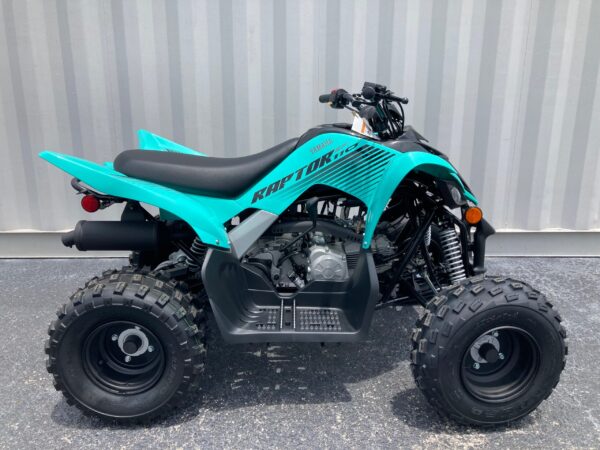 2024 Yamaha Raptor 110 - Image 13