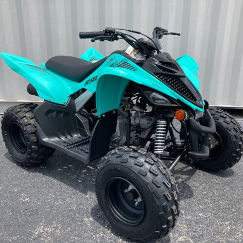 2024 Yamaha Raptor 110