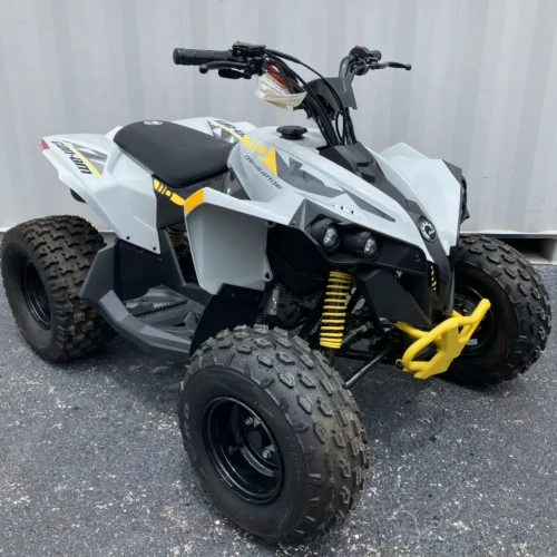 2024 Can-Am Renegade 110 EFI