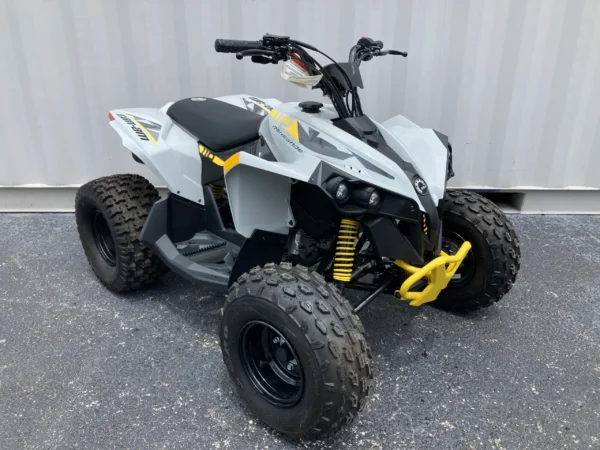 2024 Can-Am Renegade 110 EFI