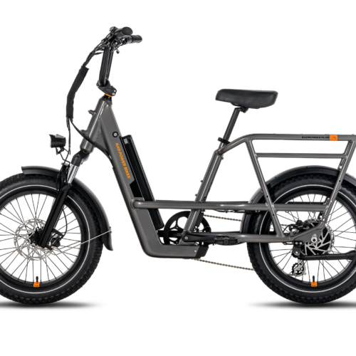 RadRunner 3 Plus Electric Utility Bike